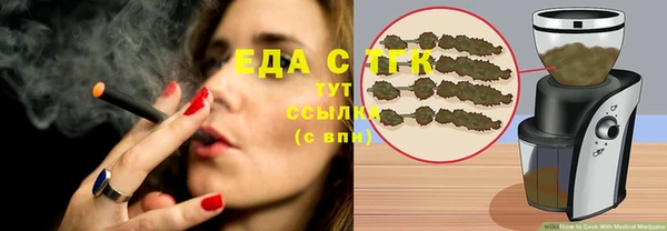 шишки Нязепетровск
