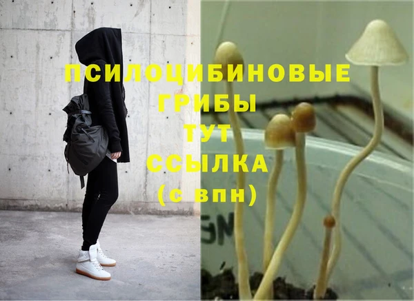 соль курить ск Балабаново